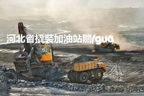 河北省撬裝加油站關(guān)鍵技術(shù)突破！化工廠拆除工程的新方法探索？